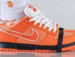 Nike Dunk Low Orange